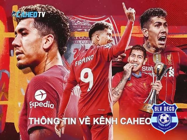 Caheo TV cung cấp link trực tiếp bóng đá hoàn toàn miễn phí