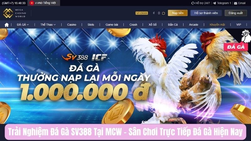 Giới thiệu về đá gà sv388 tại nhà cái đá gà MCW